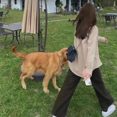 百千家的妖怪王子